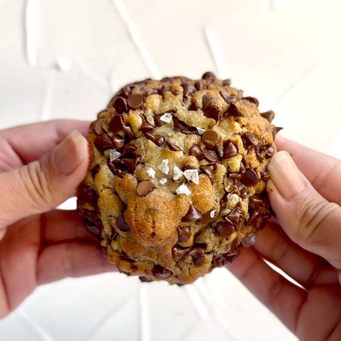 Chocolate Chip Walnut Cookies