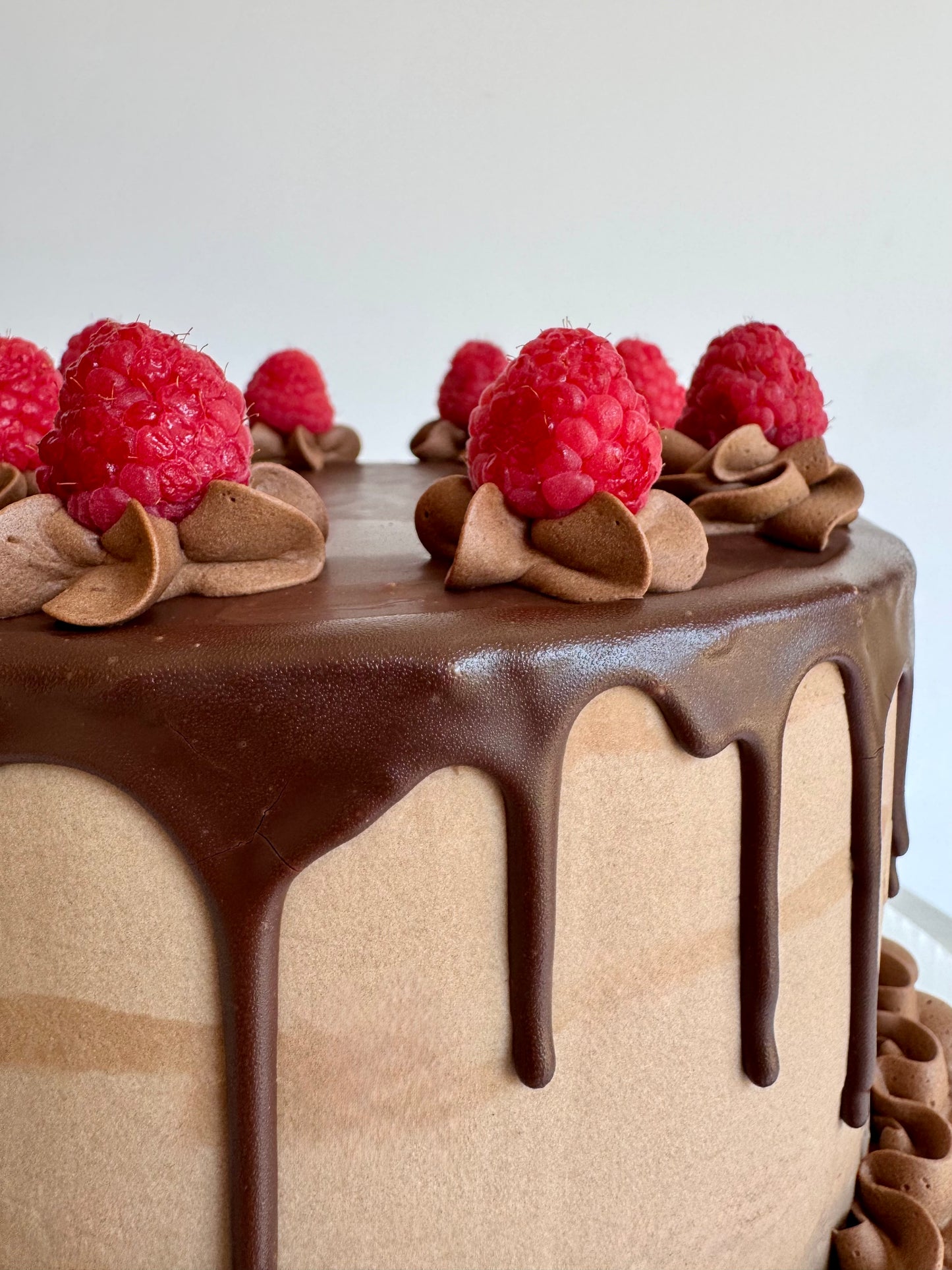 Chocolate Cake / Cupcakes