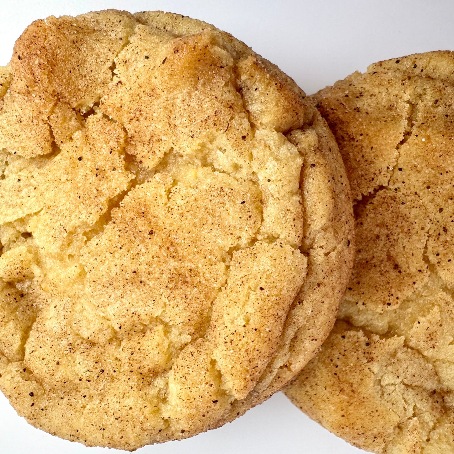 Soft and chewy snickerdoodle cookies coated in cinnamon sugar from Secret Ingredient Bakery
